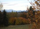 bunte Bäume im Herbst mit schönem Blick auf die Berge